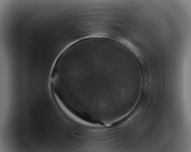 X0000097851276200803201530
