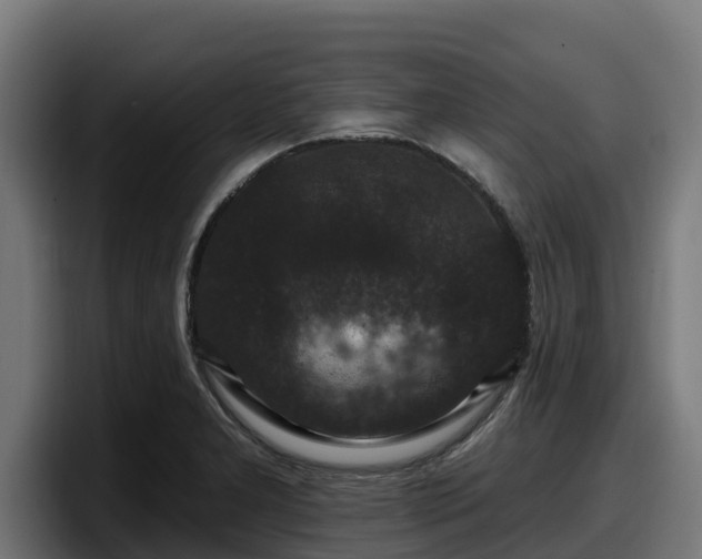 X0000097851277200803201530