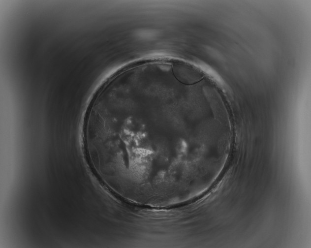 X0000097851279200803201530