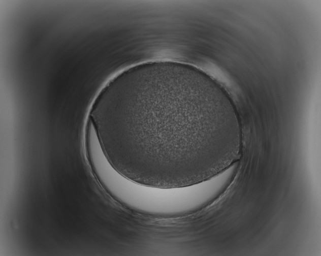X0000097851280200803201530
