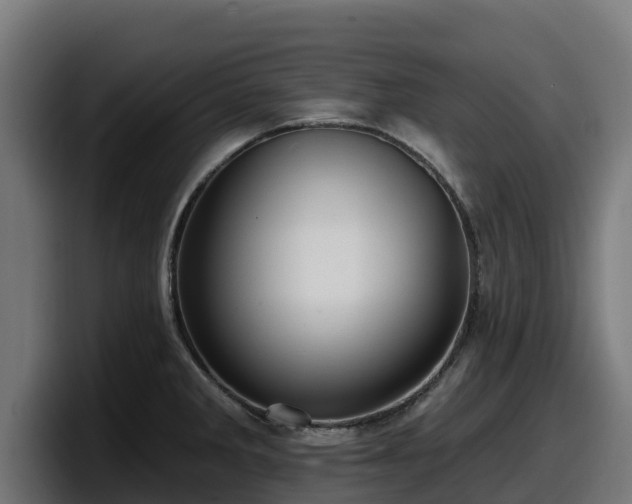 X0000097851285200803201530
