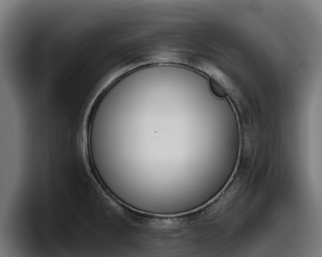 X0000097851286200803201530