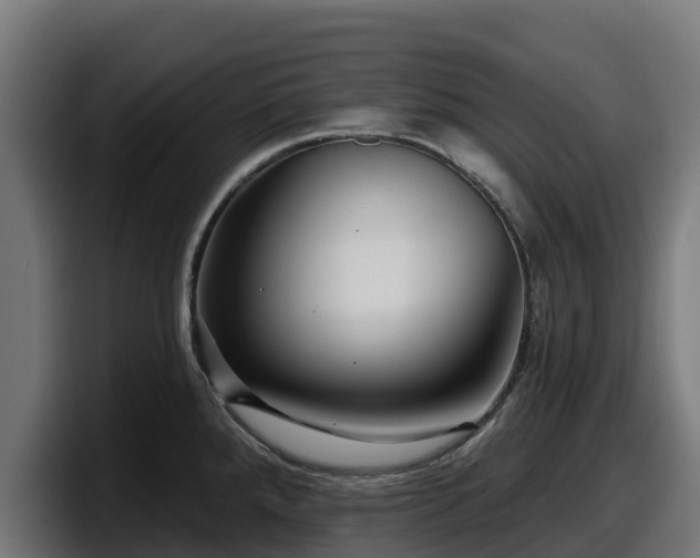 X0000097851288200803201530