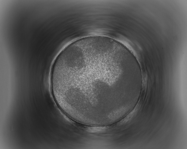 X0000097851294200803201530
