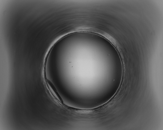 X0000097851296200803201530