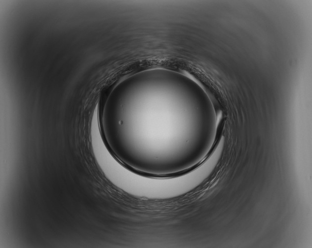 X0000097851299200803201530