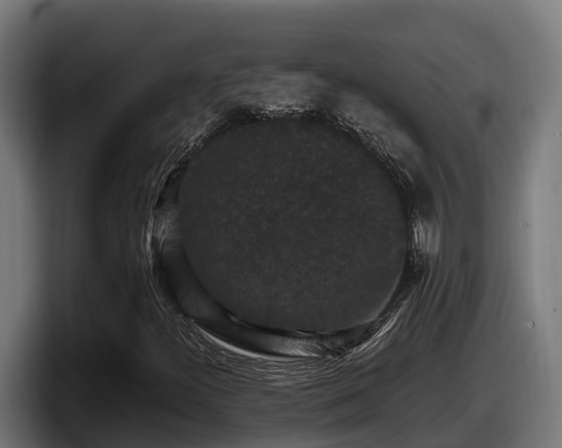 X0000097851300200803201530