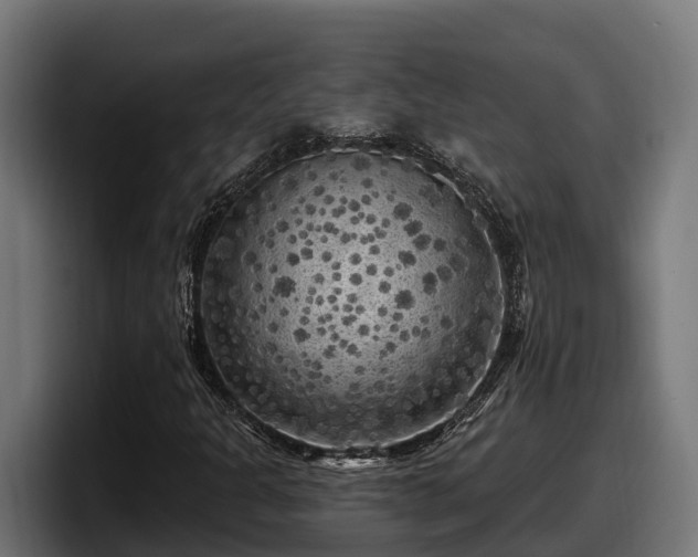X0000097851301200803201530