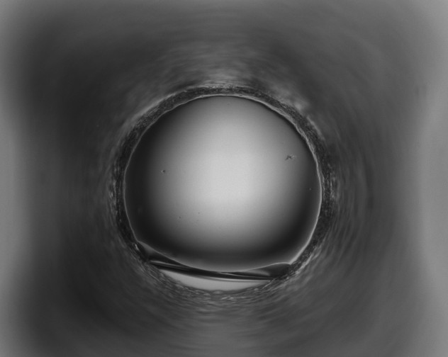 X0000097851304200803201530