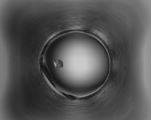 X0000097851308200803201530