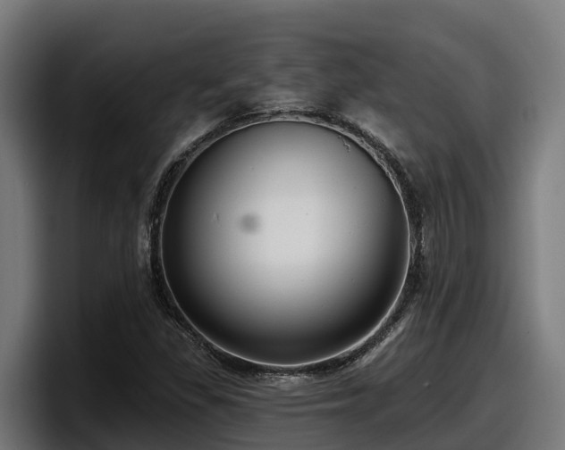 X0000097851309200803201530