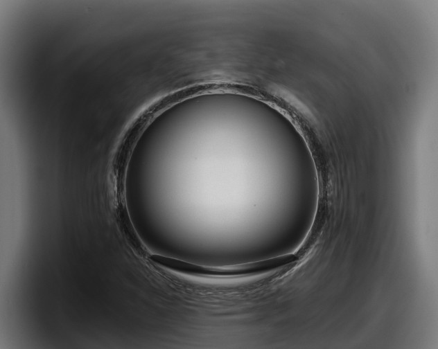 X0000097851310200803201530
