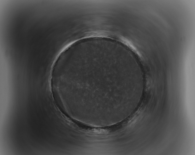 X0000097851312200803201530