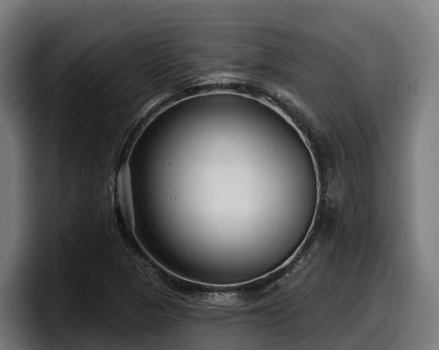X0000097851313200803201530