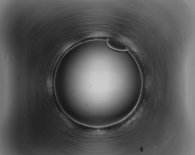 X0000097851321200803201530
