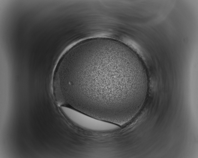 X0000097851324200803201530