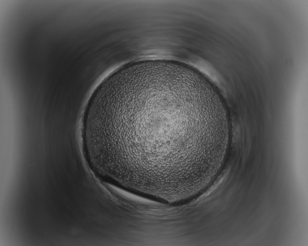 X0000097851325200803201530