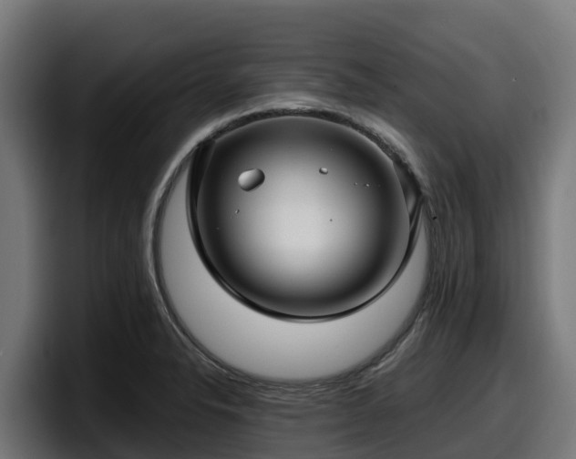 X0000097851326200803201530