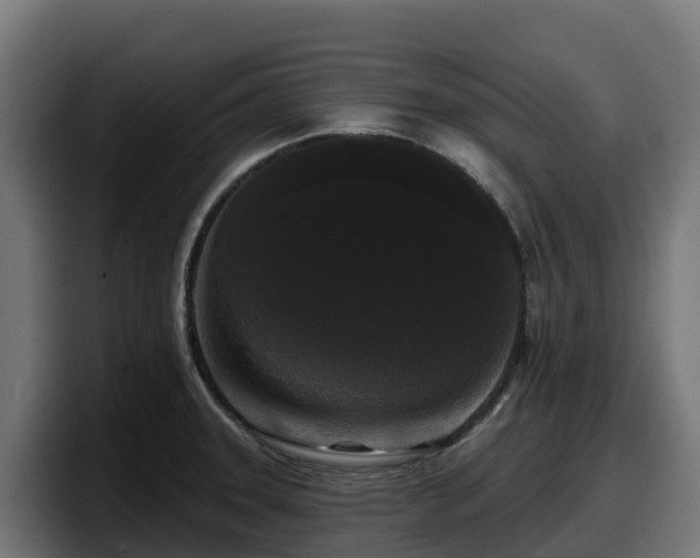 X0000097851331200803201530