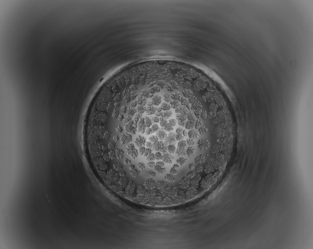 X0000097851333200803201530