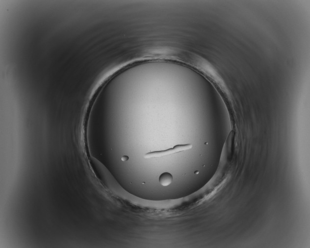 X0000097851336200803201530