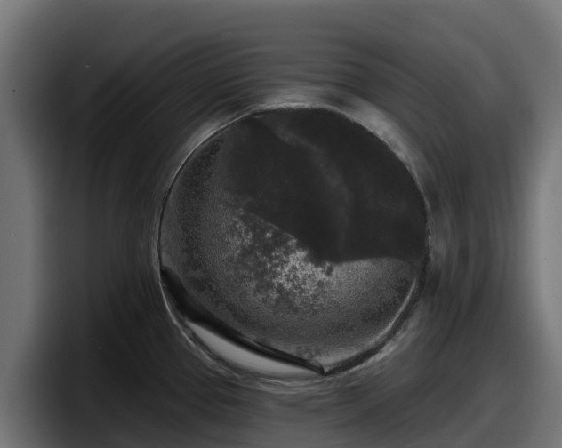 X0000097851337200803201530