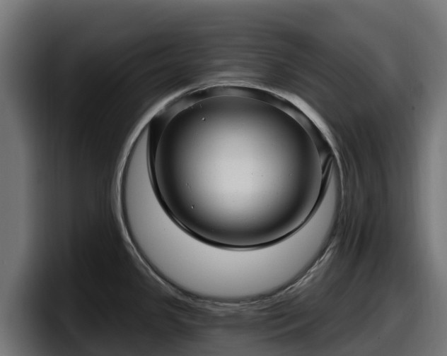 X0000097851341200803201530