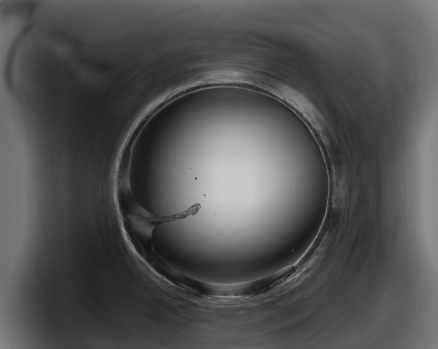 X0000097851342200803201530
