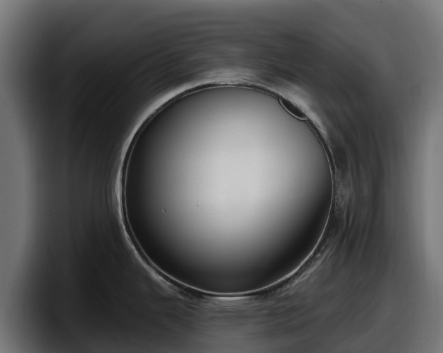 X0000097851343200803201530