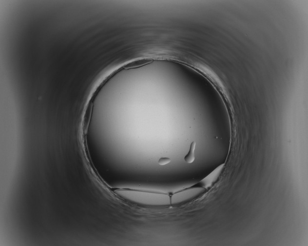 X0000097851344200803201530