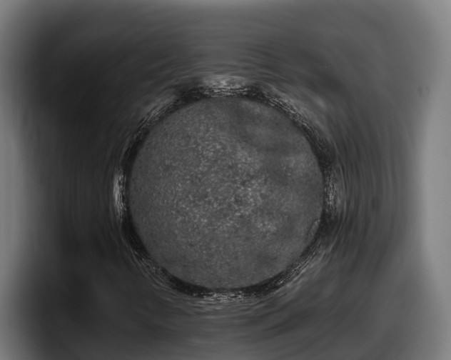 X0000097851346200803201530