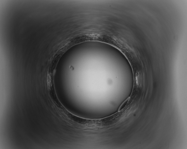 X0000097851347200803201530