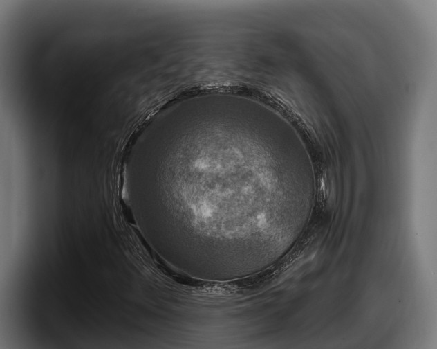 X0000097851348200803201530