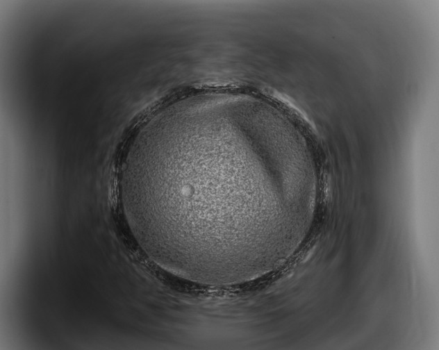 X0000097851350200803201530