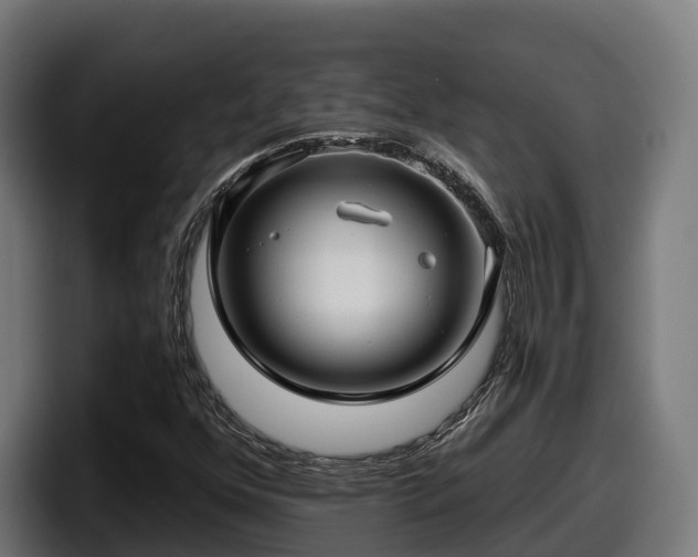 X0000097851352200803201530