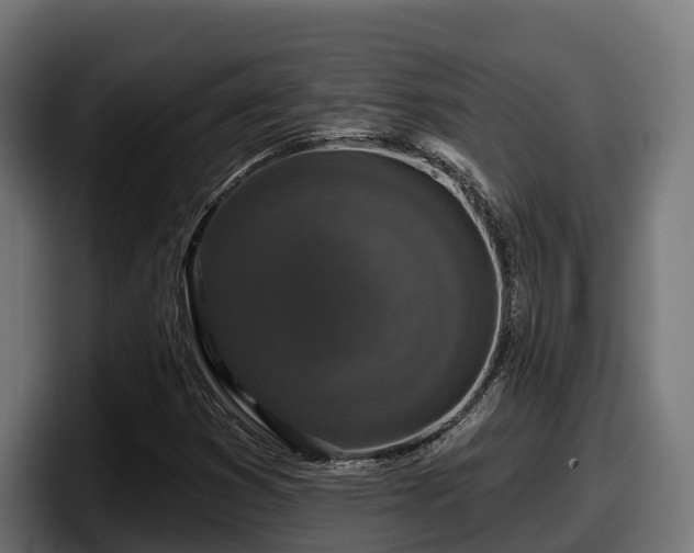 X0000097851353200803201529