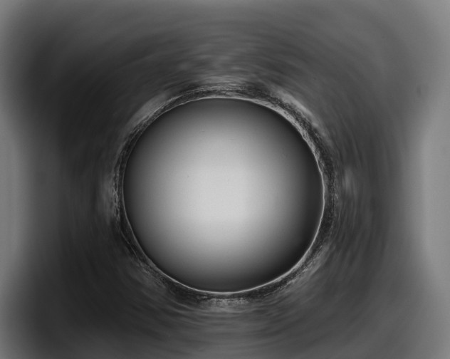 X0000097851354200803201529