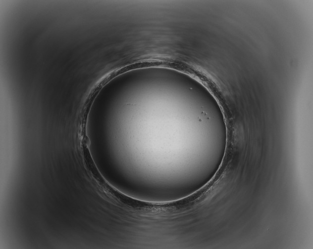 X0000097851355200803201529