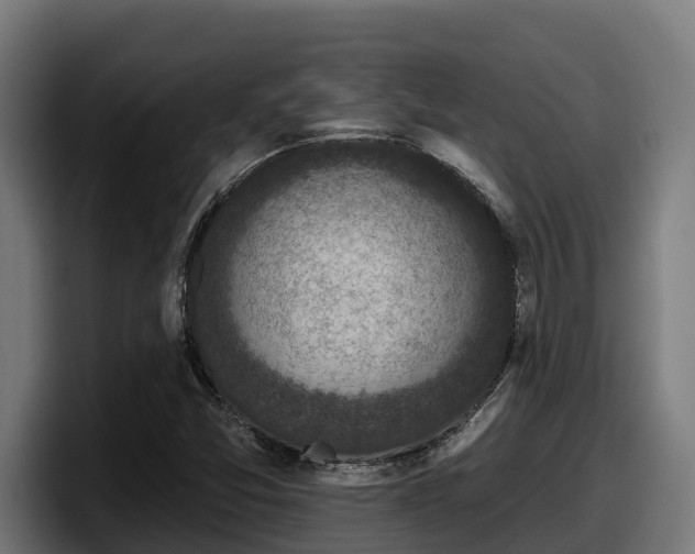X0000097851357200803201529