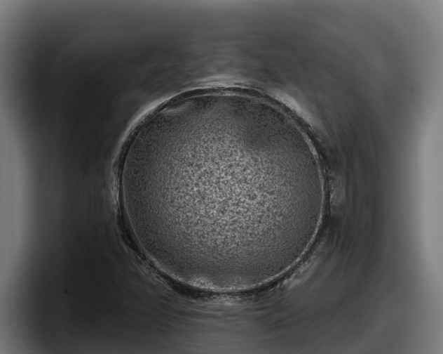 X0000097851358200803201529