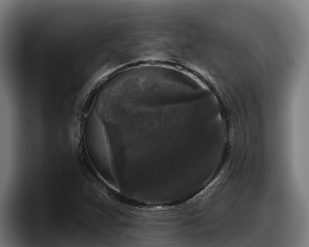X0000097851359200803201529