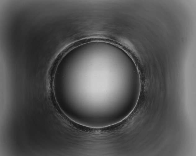 X0000097851360200803201529