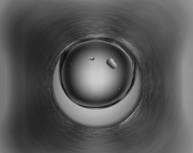 X0000097851361200803201529