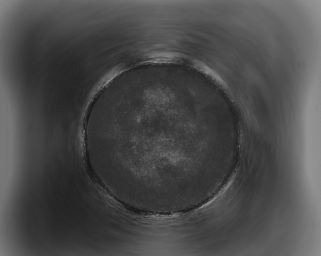 X0000097851362200803201529