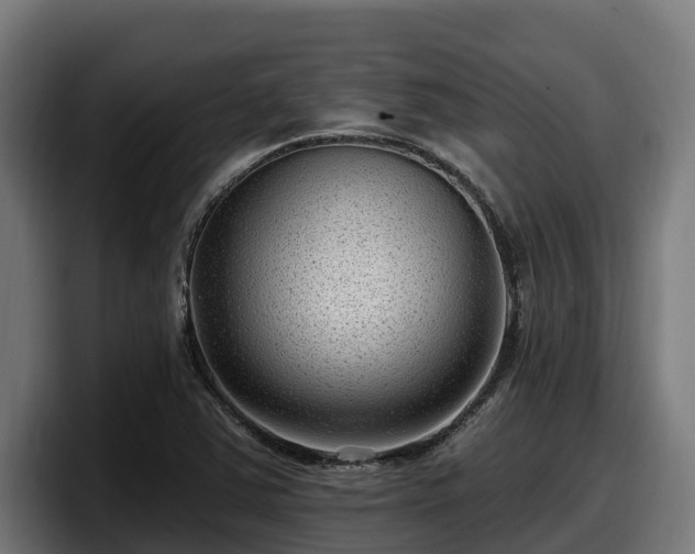 X0000097851363200803201529