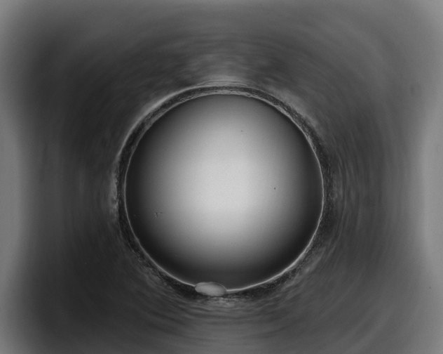X0000097851364200803201529