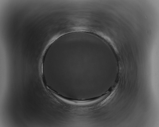 X0000097851365200803201529