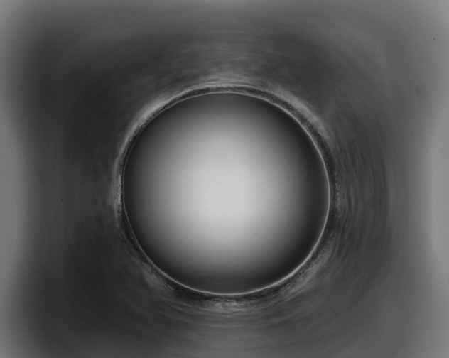 X0000097851366200803201529