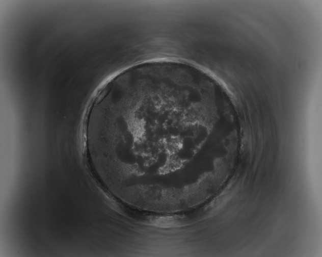 X0000097851367200803201529