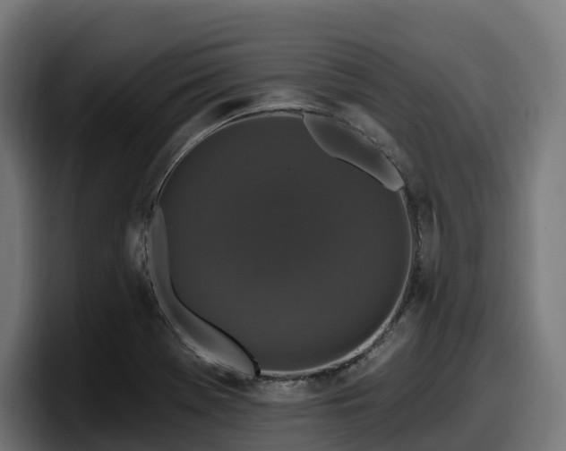 X0000097851369200803201529